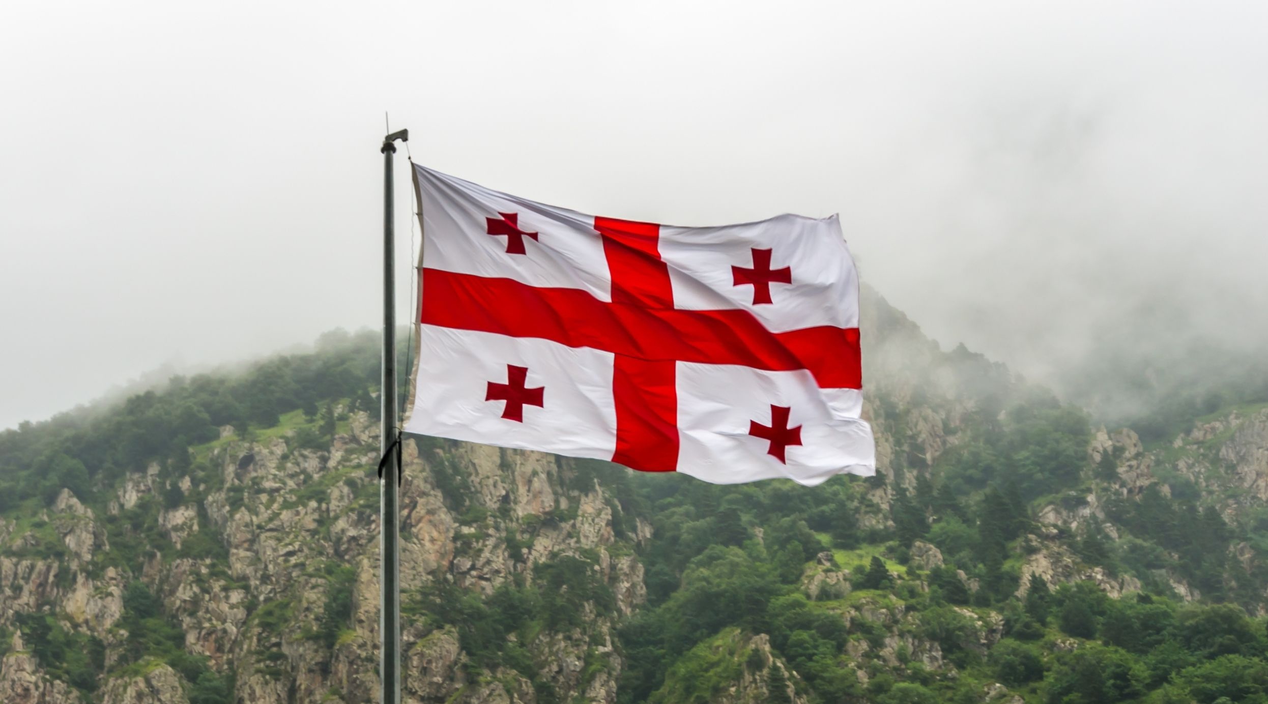 Traveler testimonial